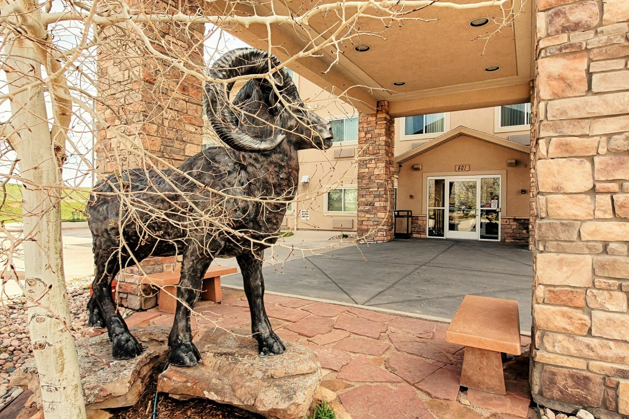 Comfort Inn Fort Collins North Zewnętrze zdjęcie